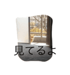 ねこあるある2（個別スタンプ：6）