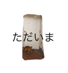 ねこあるある2（個別スタンプ：15）