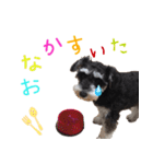 白黒ジャックとシュナウザー（個別スタンプ：14）