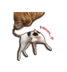 Golden Dog ＆ Cat By Makham（個別スタンプ：20）