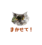 癒しねこ2（個別スタンプ：10）