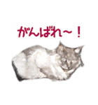 癒しねこ2（個別スタンプ：23）