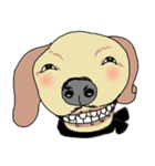 Happy Funny dogs（個別スタンプ：23）