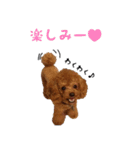 ぷぅちゃんスタンプゥ（個別スタンプ：2）