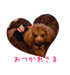 ぷぅちゃんスタンプゥ（個別スタンプ：23）