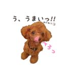 ぷぅちゃんスタンプゥ（個別スタンプ：28）