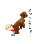 ぷぅちゃんスタンプゥ（個別スタンプ：38）