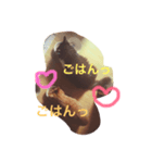 しょうみーステッカー（個別スタンプ：7）