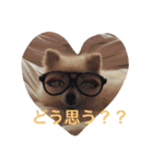 ポメポメスタンプ（個別スタンプ：21）