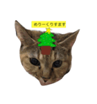 我が家のゆずです。（個別スタンプ：8）