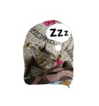 うちのぷー（個別スタンプ：3）