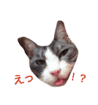 ノアちゃんのスタンプ（個別スタンプ：4）