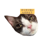 ノアちゃんのスタンプ（個別スタンプ：7）