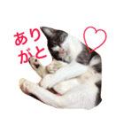 ノアちゃんのスタンプ（個別スタンプ：8）