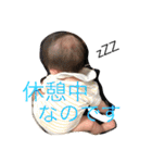 ねぇ、青さん（個別スタンプ：40）