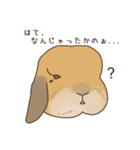 うさぎのWONDERLANDのなかまたち（個別スタンプ：1）
