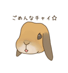 うさぎのWONDERLANDのなかまたち（個別スタンプ：2）