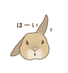 うさぎのWONDERLANDのなかまたち（個別スタンプ：4）