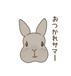 うさぎのWONDERLANDのなかまたち（個別スタンプ：6）