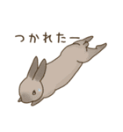 うさぎのWONDERLANDのなかまたち（個別スタンプ：7）