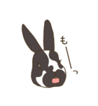 うさぎのWONDERLANDのなかまたち（個別スタンプ：9）