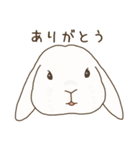 うさぎのWONDERLANDのなかまたち（個別スタンプ：10）