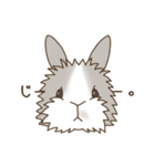 うさぎのWONDERLANDのなかまたち（個別スタンプ：11）