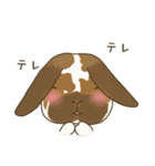 うさぎのWONDERLANDのなかまたち（個別スタンプ：14）