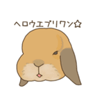 うさぎのWONDERLANDのなかまたち（個別スタンプ：16）