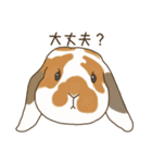 うさぎのWONDERLANDのなかまたち（個別スタンプ：20）