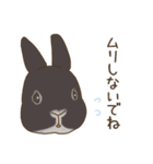 うさぎのWONDERLANDのなかまたち（個別スタンプ：21）