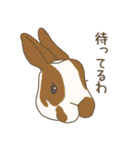 うさぎのWONDERLANDのなかまたち（個別スタンプ：25）