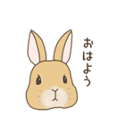 うさぎのWONDERLANDのなかまたち（個別スタンプ：26）