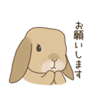 うさぎのWONDERLANDのなかまたち（個別スタンプ：27）