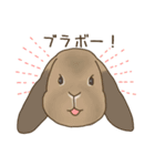 うさぎのWONDERLANDのなかまたち（個別スタンプ：28）