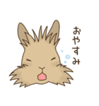 うさぎのWONDERLANDのなかまたち（個別スタンプ：29）
