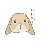 うさぎのWONDERLANDのなかまたち（個別スタンプ：30）