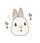 うさぎのWONDERLANDのなかまたち（個別スタンプ：31）