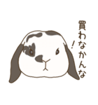 うさぎのWONDERLANDのなかまたち（個別スタンプ：33）