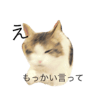 ノルウェージャン（個別スタンプ：14）