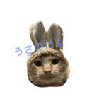色々さのすけくん2（個別スタンプ：1）