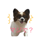 こぼうちゃん（個別スタンプ：8）