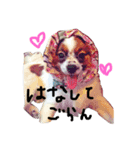 こぼうちゃん（個別スタンプ：12）