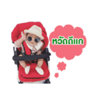Narak Chic Chic（個別スタンプ：28）