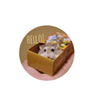 毛玉スタンプ その2（個別スタンプ：12）