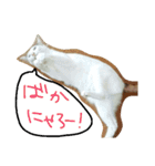 ミケネコの吹き出し（個別スタンプ：13）