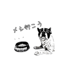 フレブル日常会話（個別スタンプ：3）