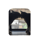 いつもいっしょみなさんズ（個別スタンプ：29）