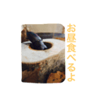 ノコギリクワガタの気持ち（個別スタンプ：2）