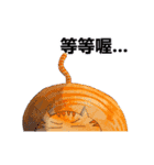 DIDI-animation（個別スタンプ：13）